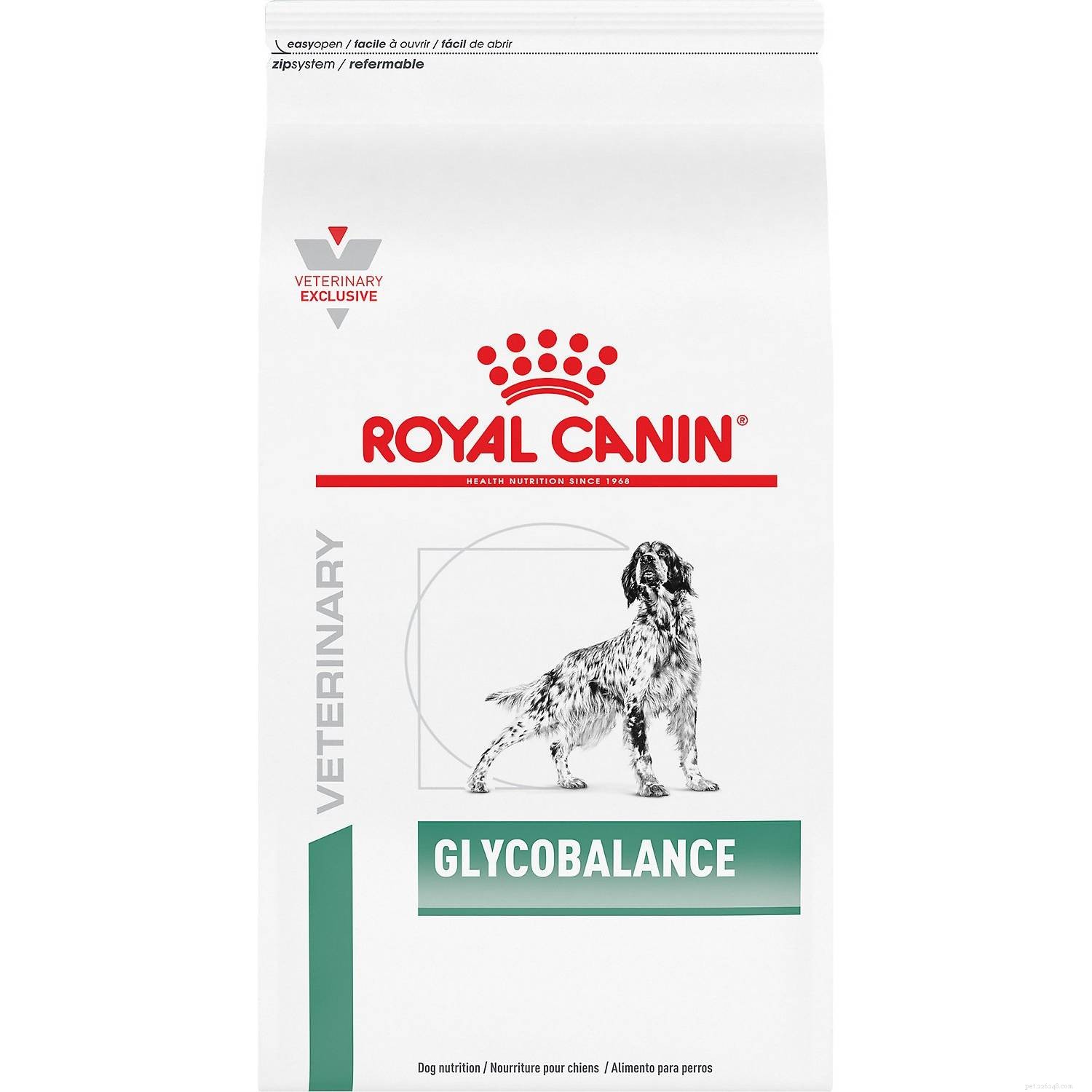 Top 8 Dog Foods for Managing Diabetes in Dogs – 2022 Review & Expert Picks