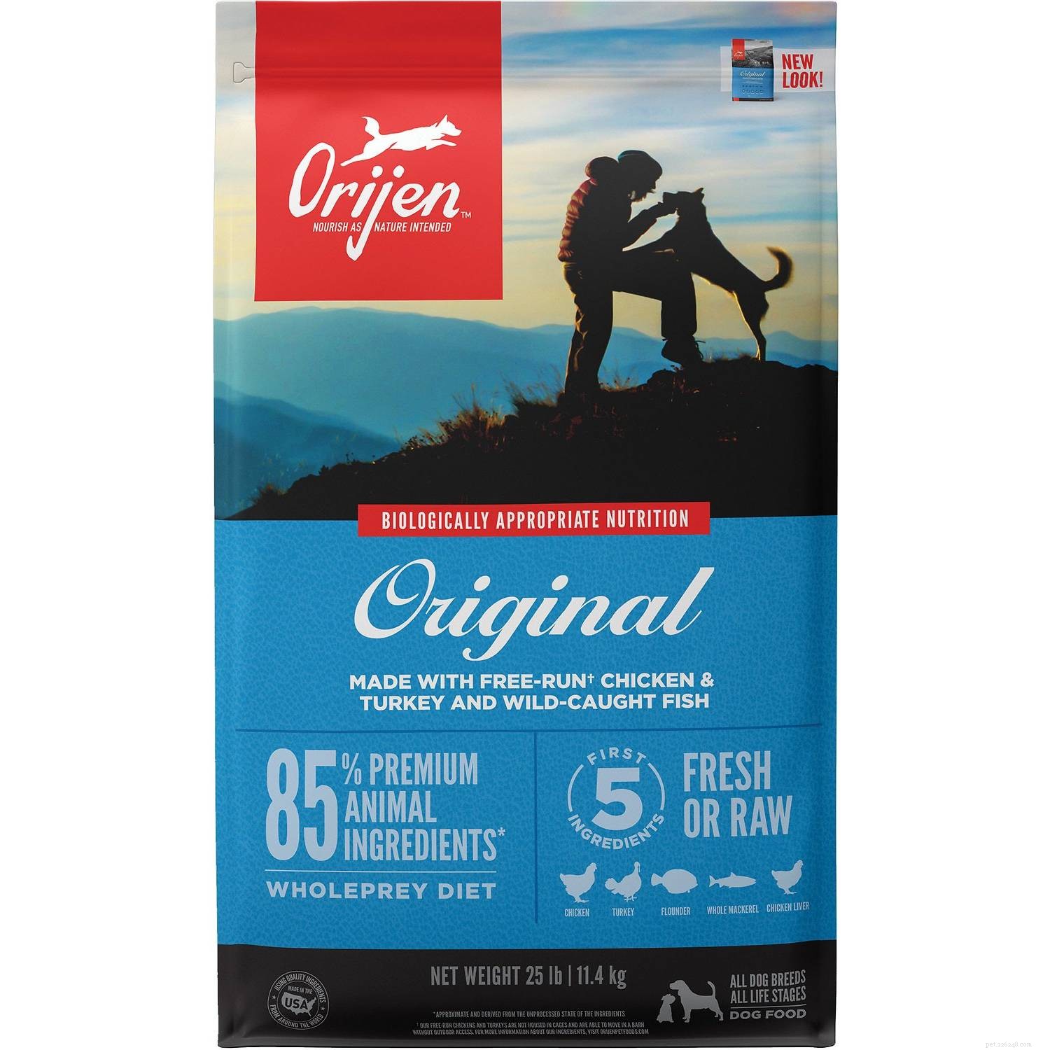 Top 8 Dog Foods for Managing Diabetes in Dogs – 2022 Review & Expert Picks