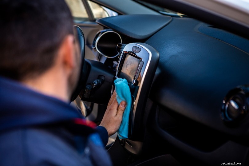 How to Eliminate Dog Urine Odor From Your Car – A Complete Step‑by‑Step Guide