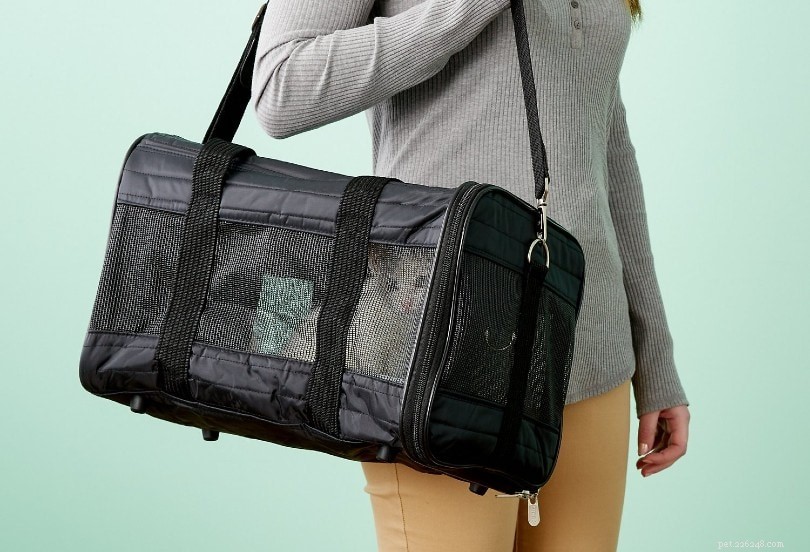 How to Pick the Perfect Cat Carrier: Size, Material, and Key Factors