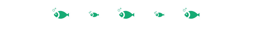Goldfish Eggs 2022: Expert Guide to Identification, Hatching & Care