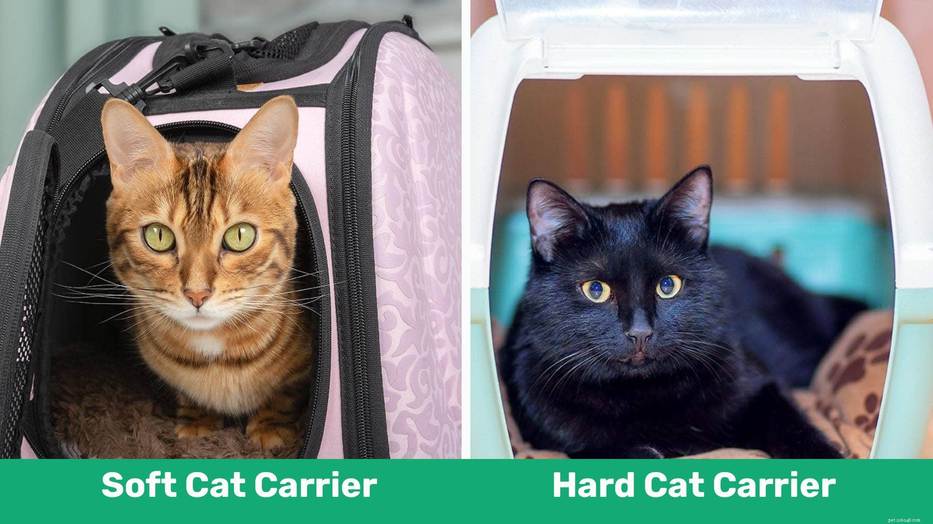 Choosing the Right Cat Carrier: Soft vs. Hard – Which Is Best for You and Your Feline?