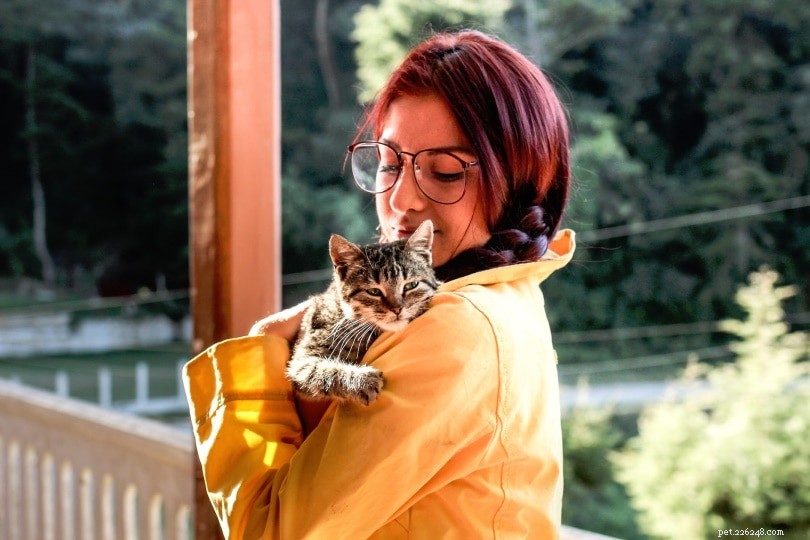 Decoding Cat Communication: How Felines Speak to One Another