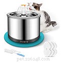 Top 6 Cat Water Fountains of 2022: Boost Your Kitty’s Hydration