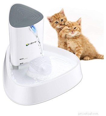 Top 6 Cat Water Fountains of 2022: Boost Your Kitty’s Hydration