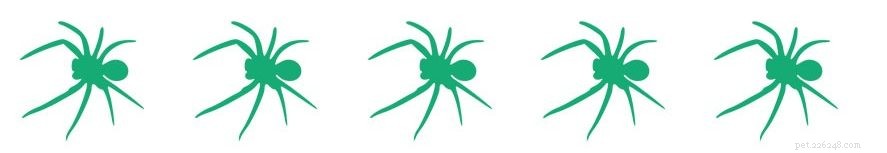 Inside Spider Communication: How They Locate and Talk to One Another