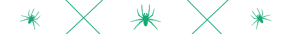 Inside Spider Communication: How They Locate and Talk to One Another