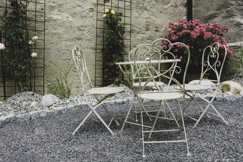 Effective, Humane Ways to Keep Stray Cats Out of Your Home