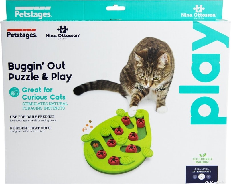 7 Proven Strategies to Keep Your Cat Entertained While You’re Away