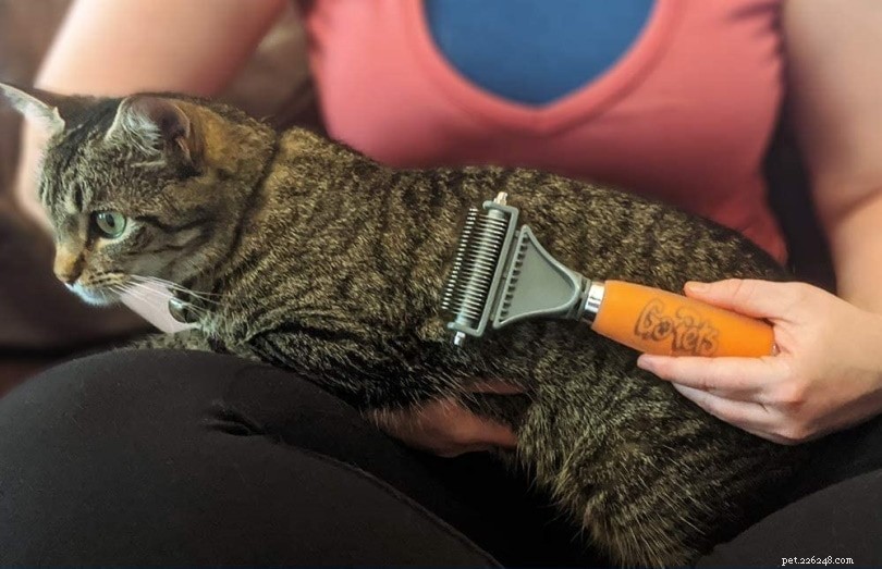 Easy DIY Guide: 5 Proven Ways to Safely Remove Cat Mats