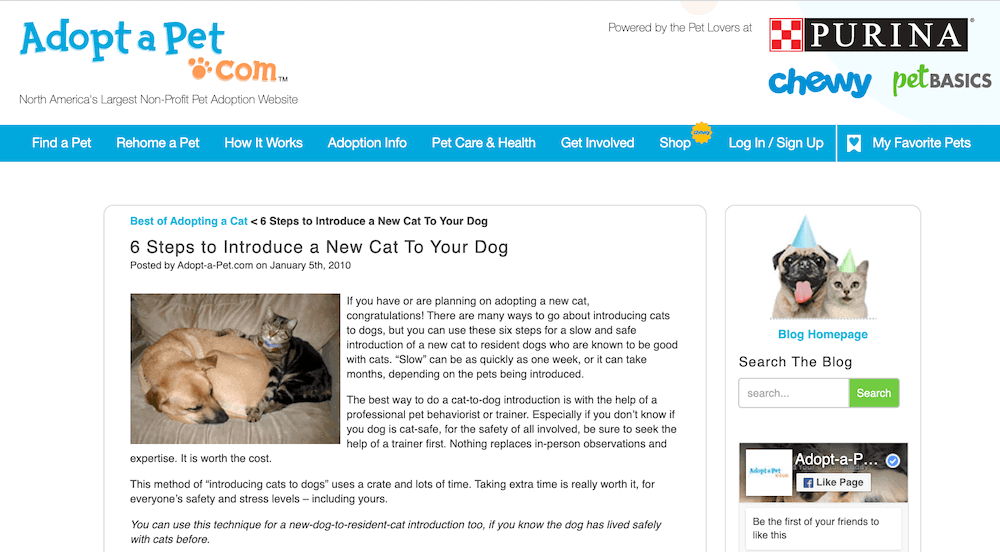 Rehome Your Cat Responsibly & Humanely: A Comprehensive Guide