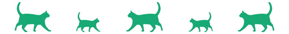 Taming a Feral Cat: 7 Proven Steps for Success