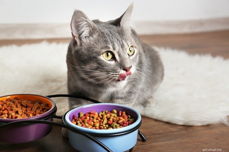 8 Proven Ways to Ease Your Cat s Anxiety
