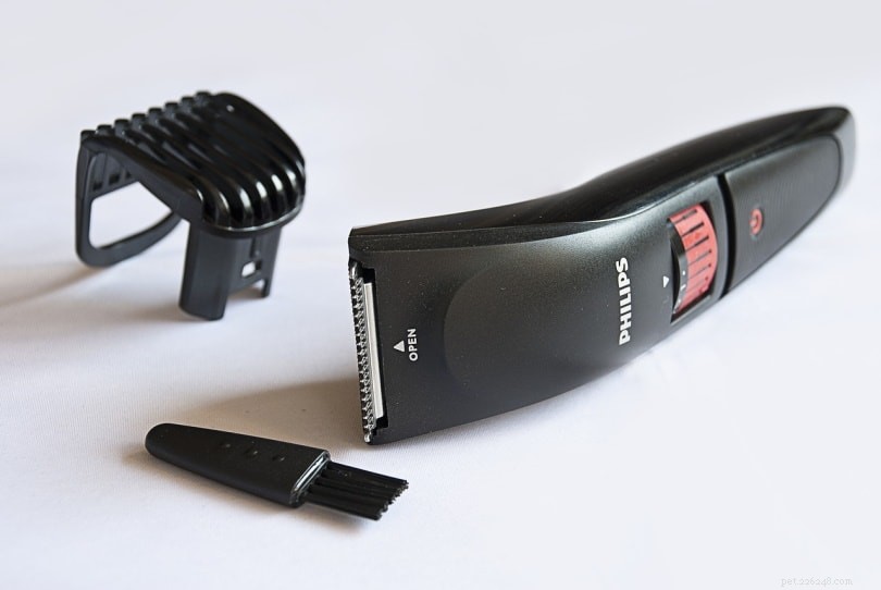 Guide to Safely Shaving Your Cat (Step‑by‑Step Video Tutorial)