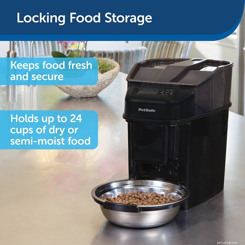 8 Effective Strategies to Protect Your Cat s Food from Raccoons