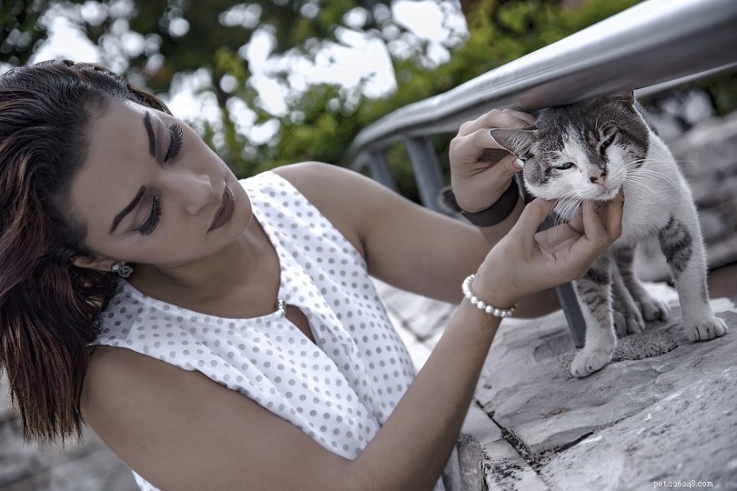 14 Proven Strategies to Keep Cats Off Your Outdoor Furniture