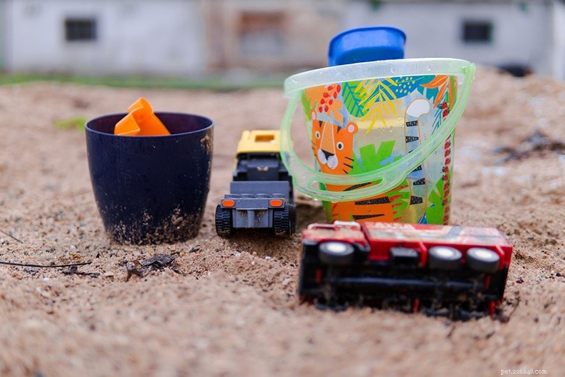 Must‑Know 5 Proven Ways to Keep Cats Away From Your Child’s Sandbox