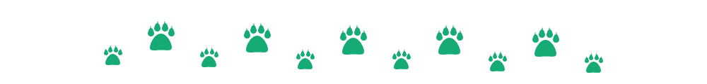 Must‑Know 5 Proven Ways to Keep Cats Away From Your Child’s Sandbox