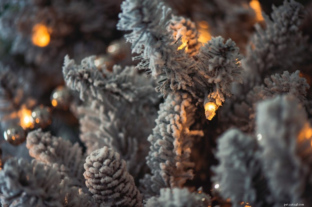 How to Safely Keep Cats Away from Your Christmas Tree: 5 Expert-Approved Techniques
