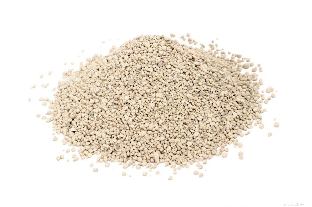 Explore 9 Cat Litter Types: Pros & Cons to Find the Best Fit
