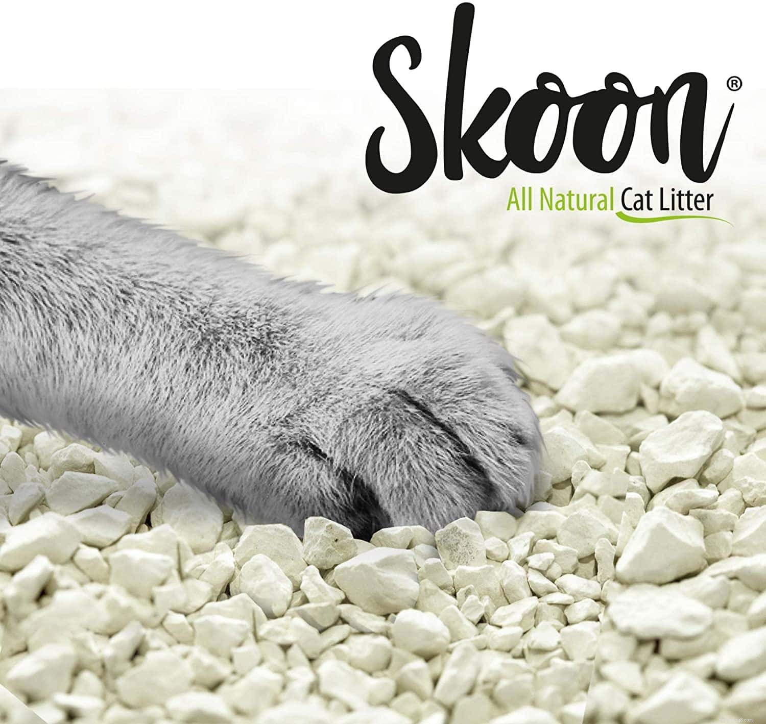 Explore 9 Cat Litter Types: Pros & Cons to Find the Best Fit