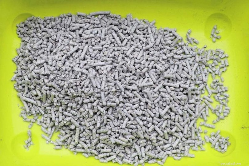 Explore 9 Cat Litter Types: Pros & Cons to Find the Best Fit