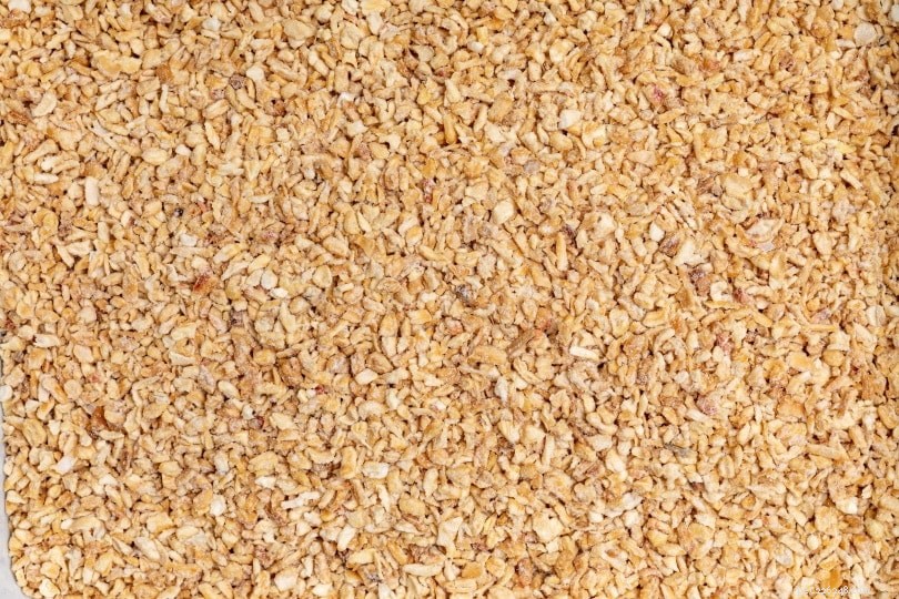 Explore 9 Cat Litter Types: Pros & Cons to Find the Best Fit