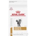 Top 10 Cat Foods for Urinary Tract Health in 2022