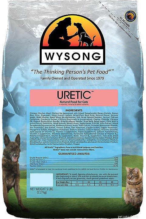 Top 10 Cat Foods for Urinary Tract Health in 2022