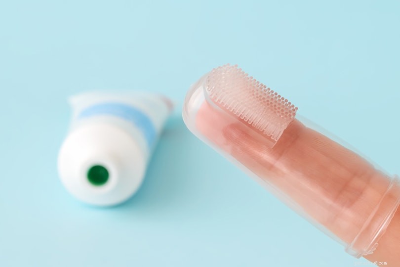 How to Brush Your Cat’s Teeth Safely – Step‑by‑Step Video Guide