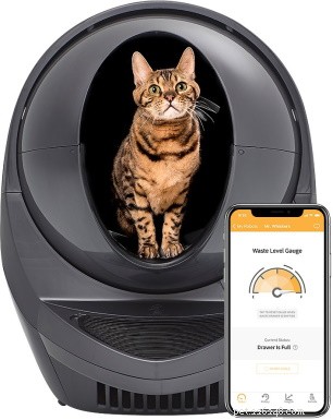 Explore 10 Cat Litter Box Types & Their Unique Benefits