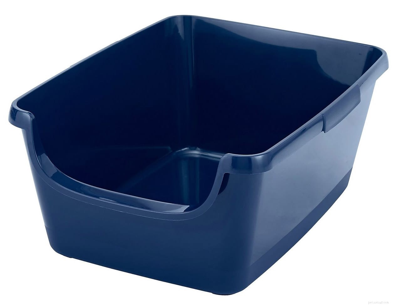 Explore 10 Cat Litter Box Types & Their Unique Benefits