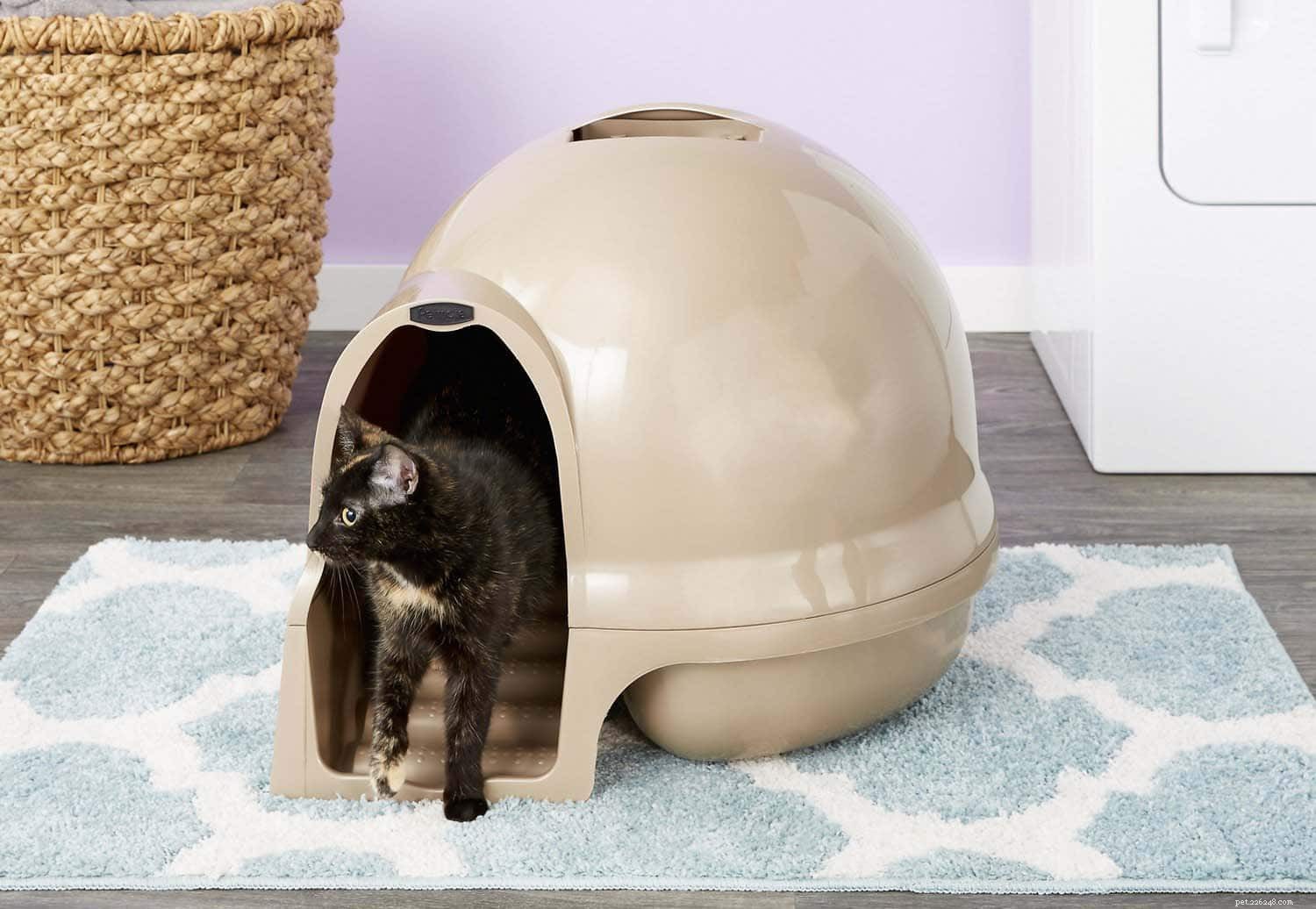 Covered vs. Uncovered Litter Boxes: Which One Does Your Cat Prefer?