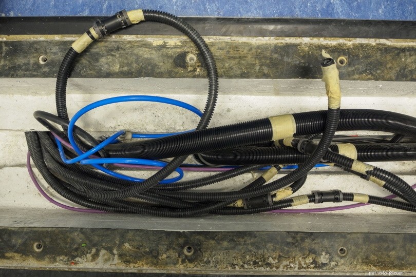 7 Proven Ways to Prevent Cats from Chewing Electrical Cords