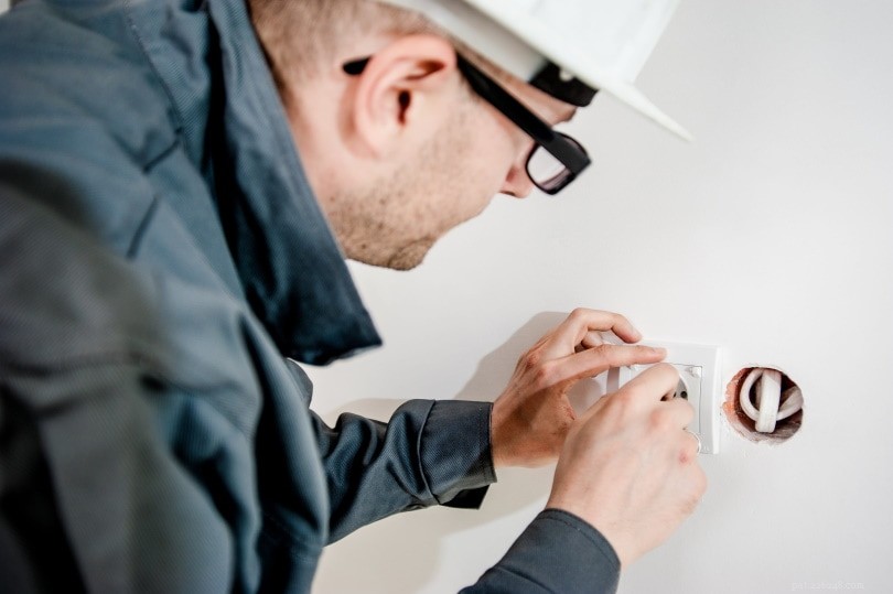 7 Proven Ways to Prevent Cats from Chewing Electrical Cords