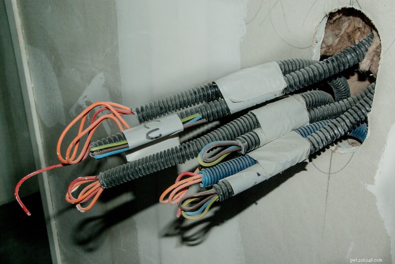 7 Proven Ways to Prevent Cats from Chewing Electrical Cords