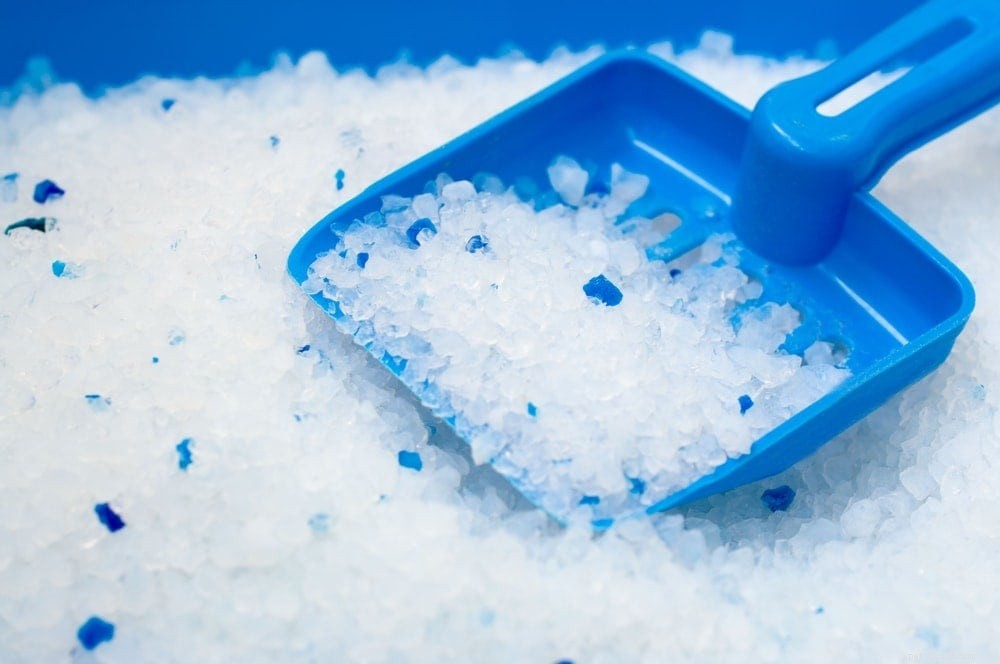 The Truth About Cat Litter: 10 Common Materials and Their Safety