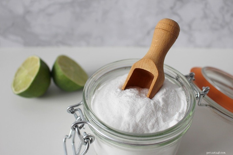 Choosing the Best Litter Deodorizer: Baking Soda vs Commercial Options for Cats and Owners