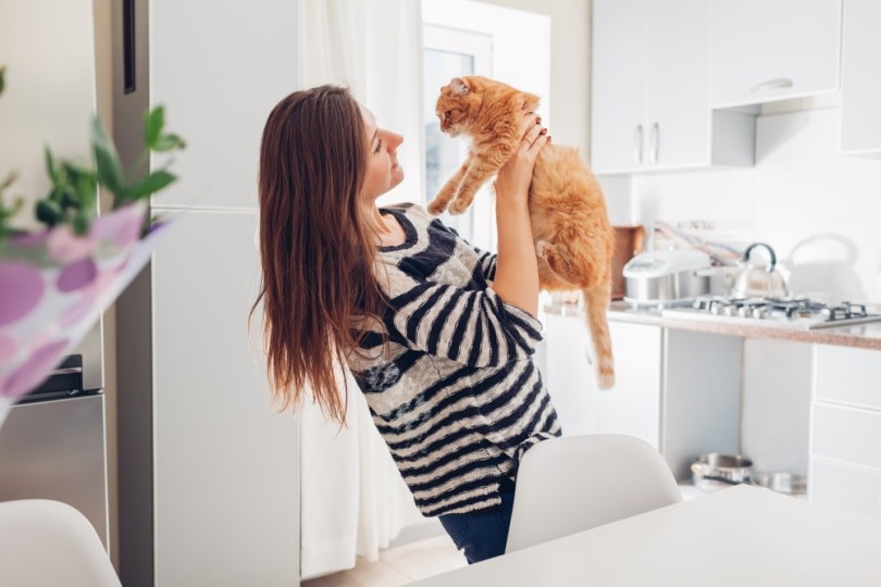 Finding a Responsible Cat Breeder: 5 Expert Tips for a Healthy Adoption
