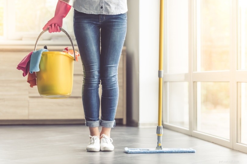 How to Retrain Your Cat to Use the Litterbox: 9 Proven Steps