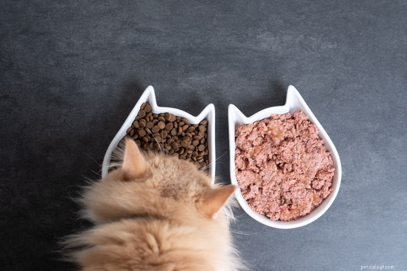 The Ultimate Guide to Buying Cat Food in Bulk: Prices, Deals & Wholesale Pros & Cons