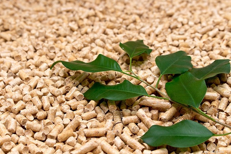 12 Easy Ways to Eliminate Cat Litter Box Odors Quickly