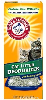 12 Easy Ways to Eliminate Cat Litter Box Odors Quickly
