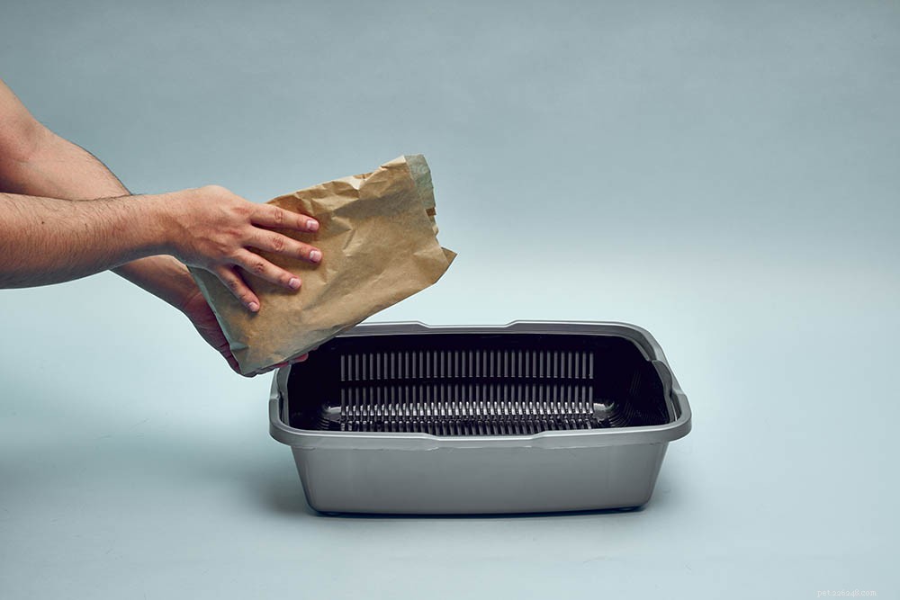 12 Easy Ways to Eliminate Cat Litter Box Odors Quickly