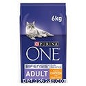 Top 10 Premium Dry Cat Foods in the UK – 2022 Expert Review