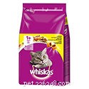 Top 10 Premium Dry Cat Foods in the UK – 2022 Expert Review