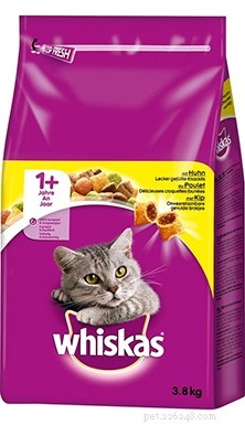 Top 10 Premium Dry Cat Foods in the UK – 2022 Expert Review