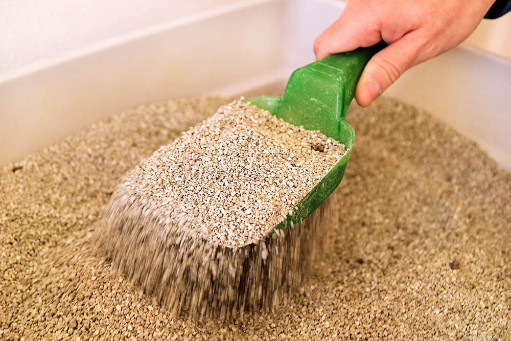 Why Cats Roll in Litter Boxes – Understanding the Behavior and How to Stop It