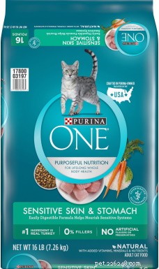 Wet vs. Dry Cat Food: Which Is Best? Pros, Cons & Expert Guidance