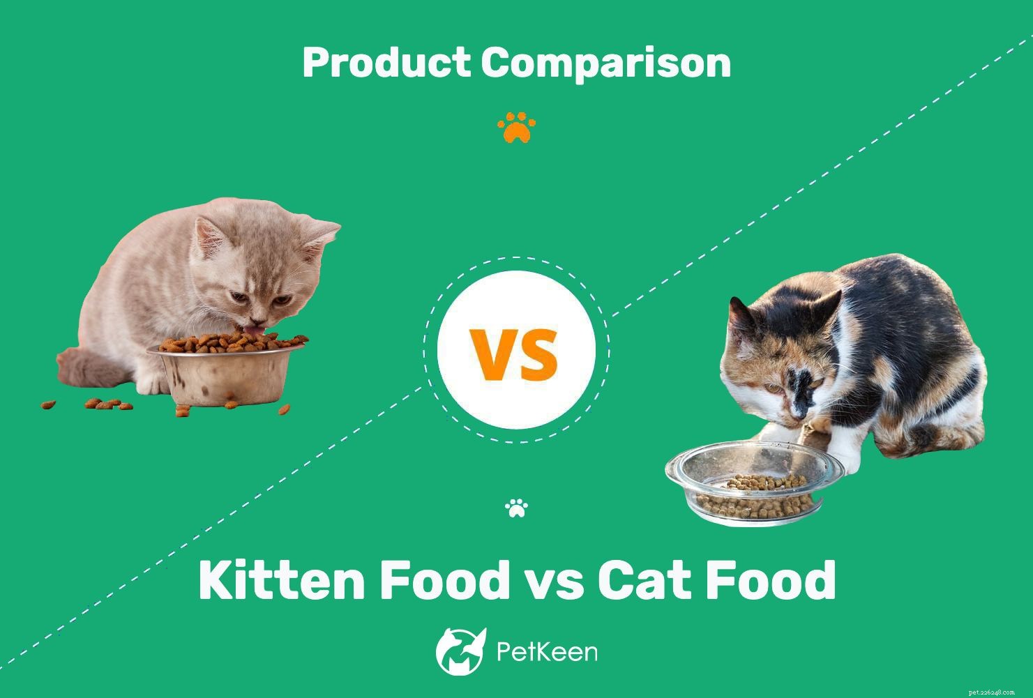 Kitten Food vs Adult Cat Food: Key Differences, Pros & Cons Explained